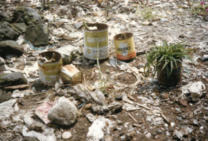 environnement